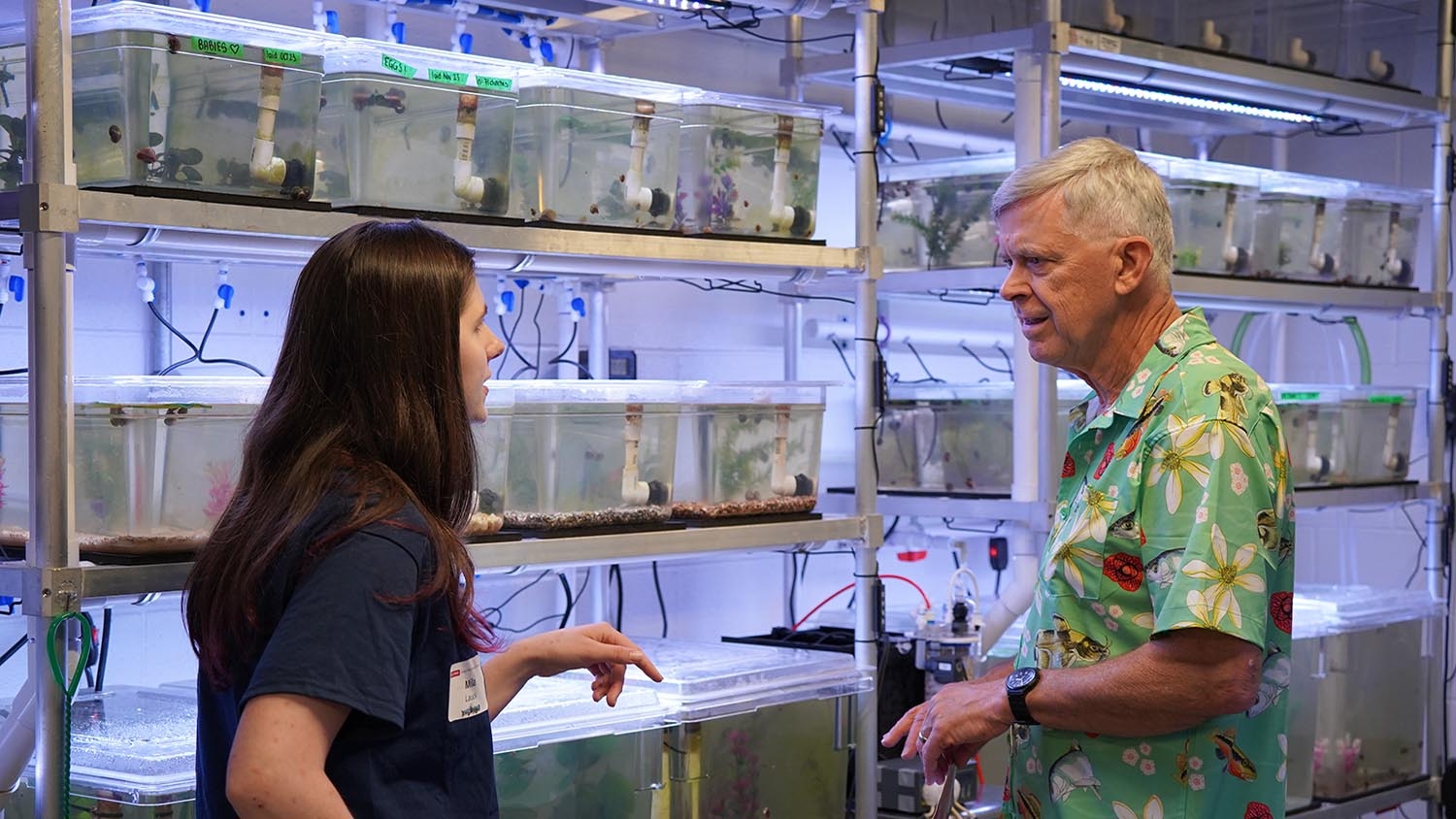 a woman and man talk in front of clear tanks with snails