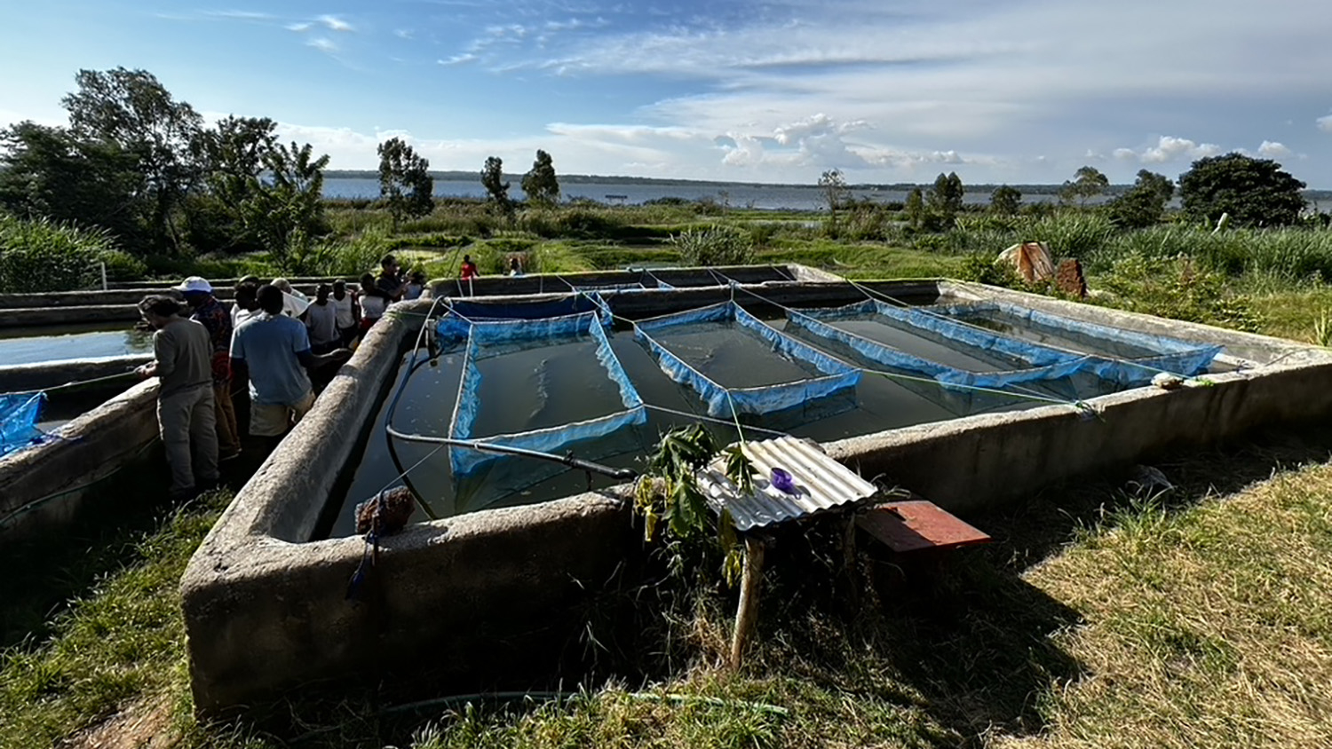 aquaculture station in kenya