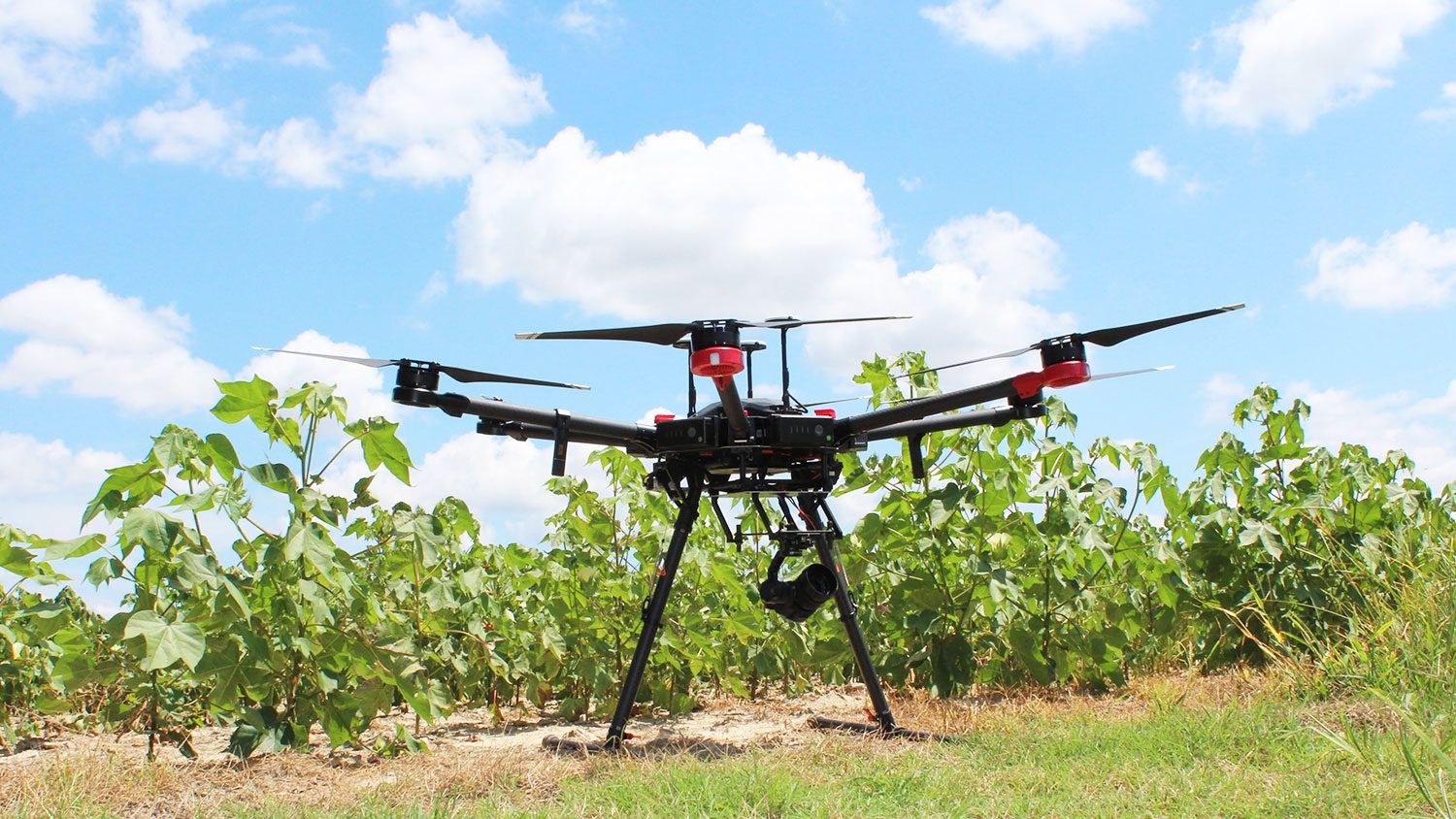 Unmanned Aerial Vehicle in a field