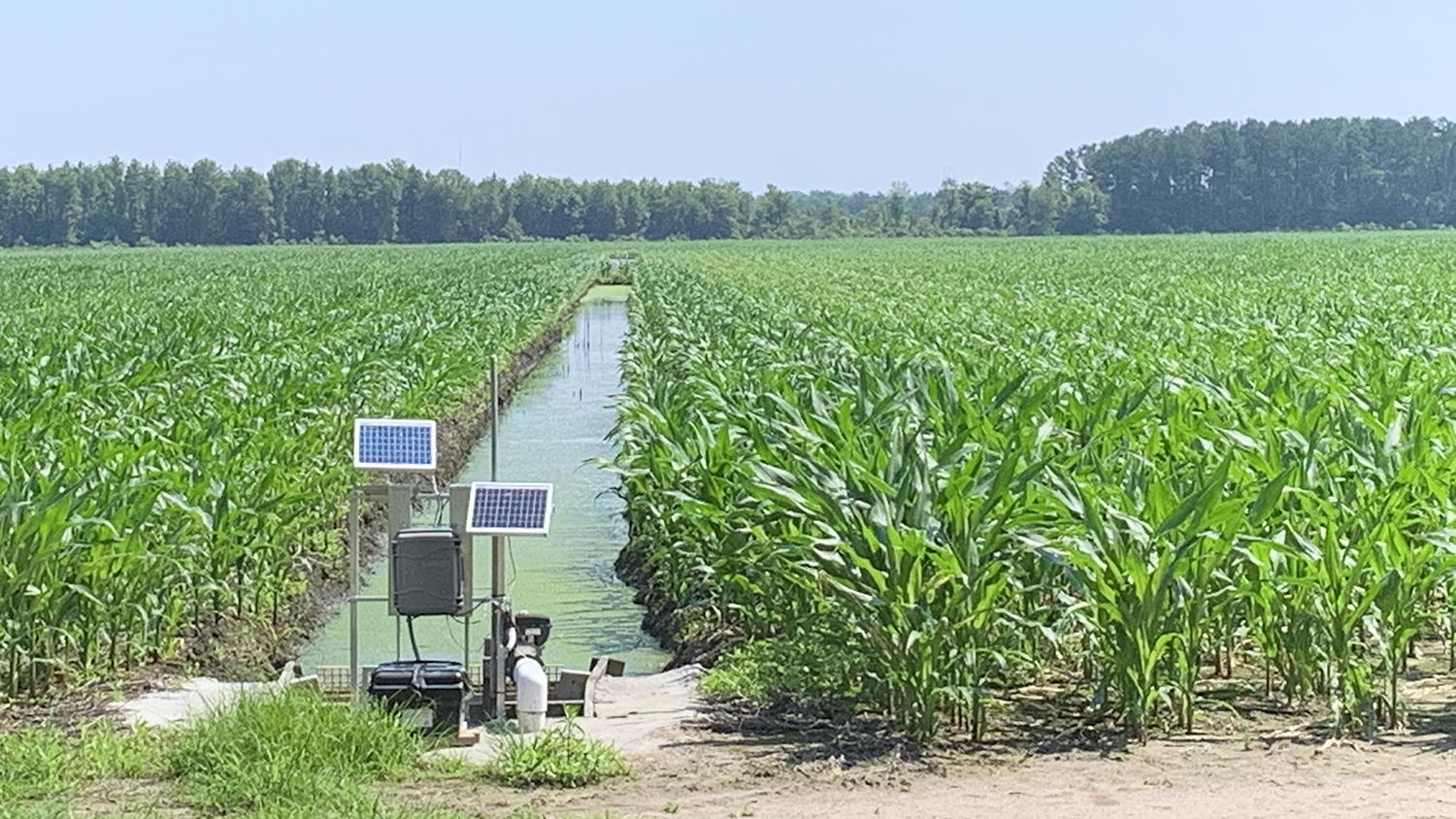 A solar panel and other equipment at the edge of a canal in a corn field