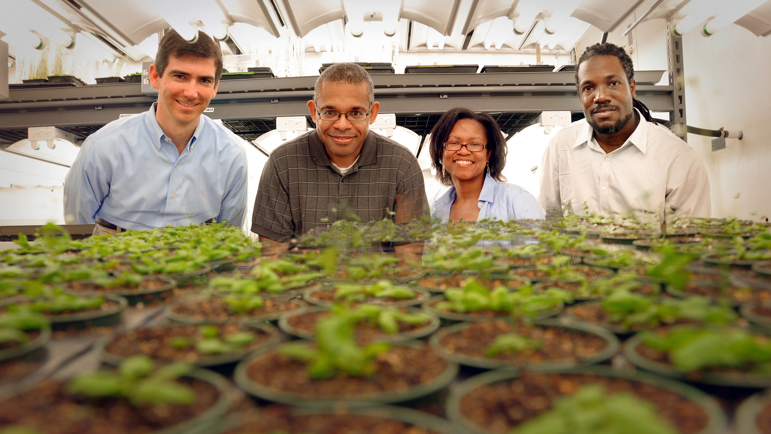 Website Banner. Photo of CALS  employees of different ethnicities and race.