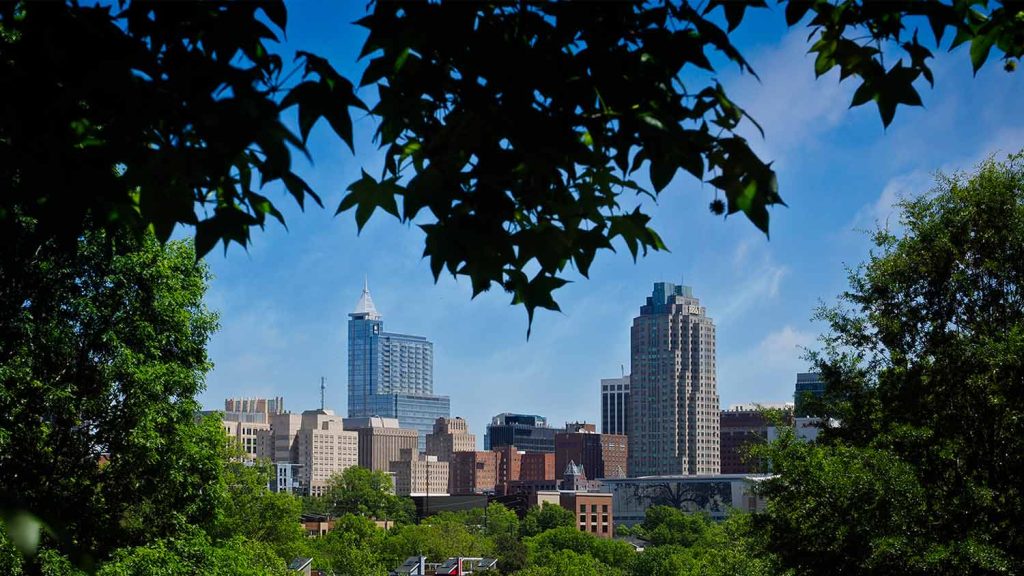 Photo of downtown Raleigh buildings surrounded by tree leaves forming a heart shape