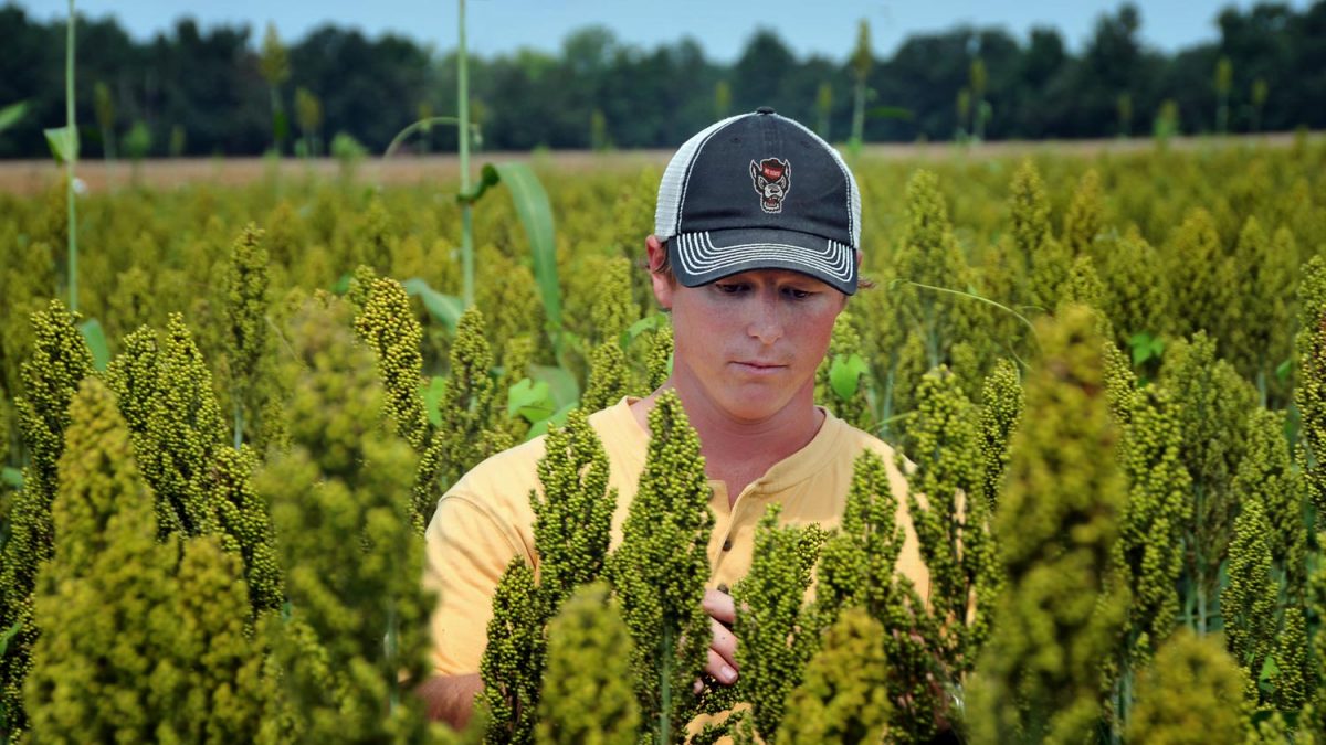 Students | Crop And Soil Sciences | NC State University