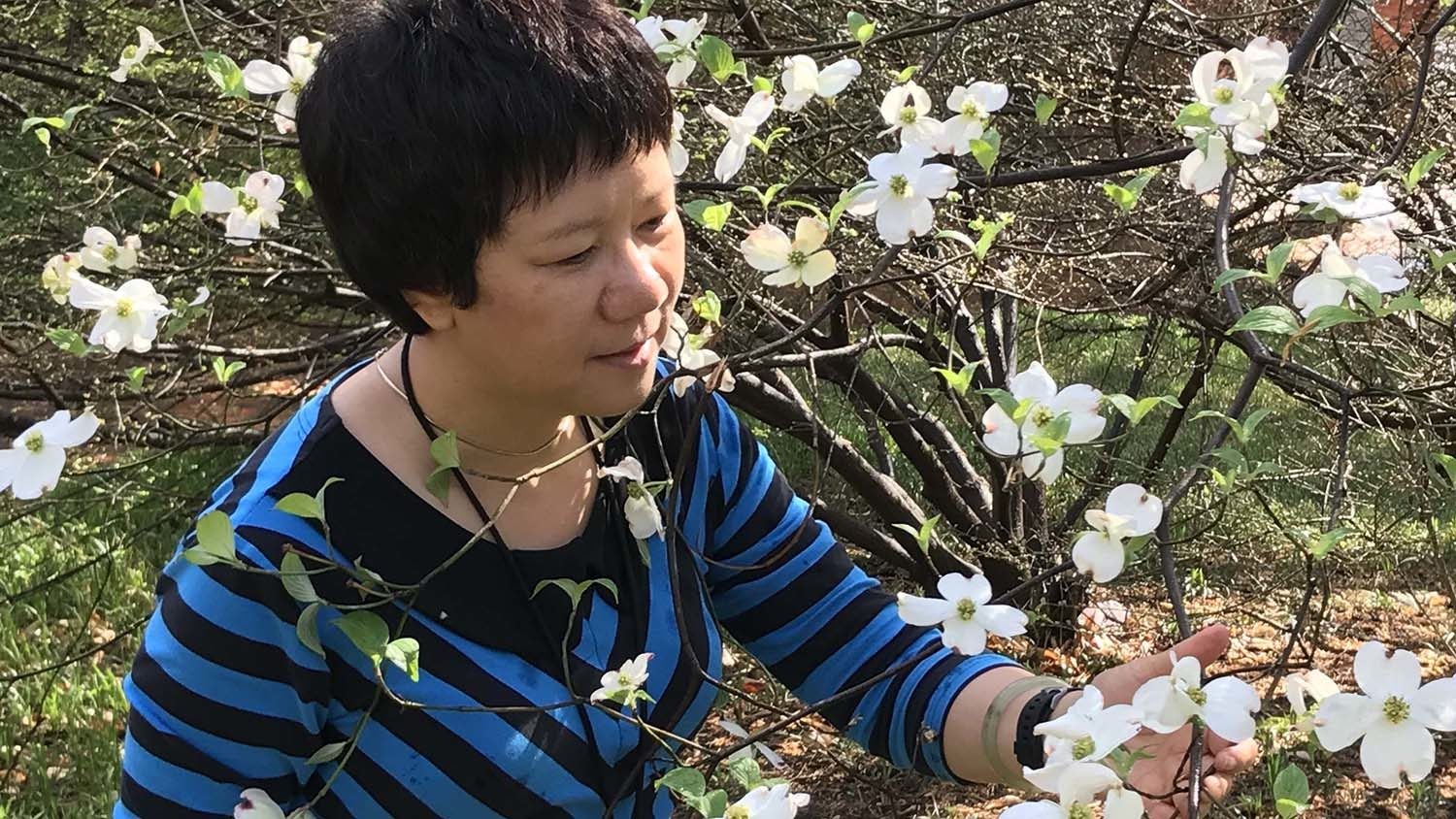 Jenny Xiang surrounded by a flowering dogwood in full bloom.