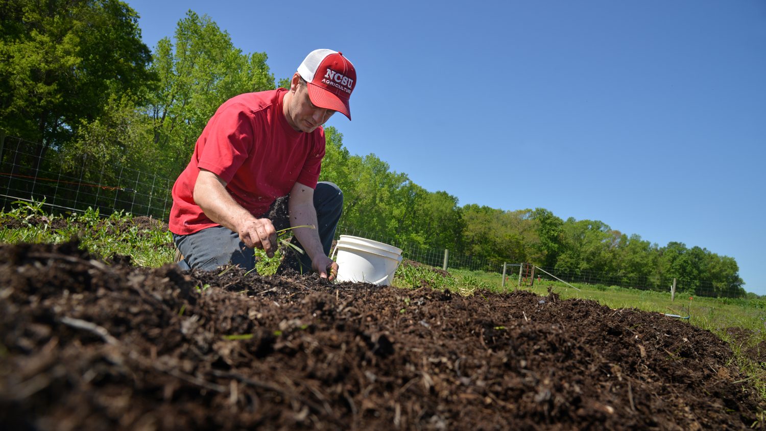 Farmer in field checking soil