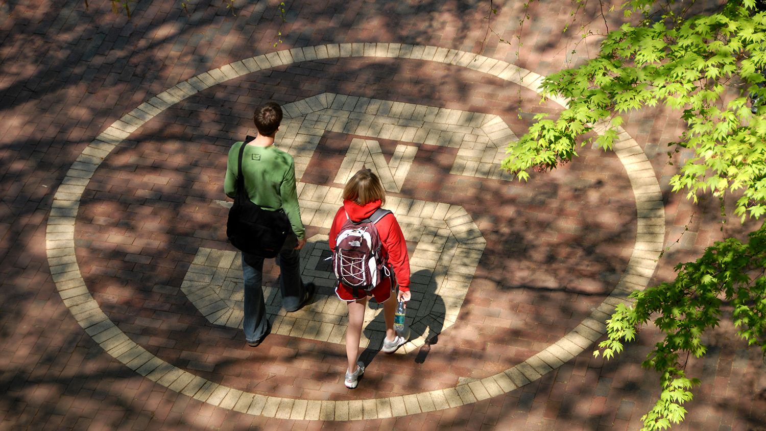 New Assistantship Announcement | Crop and Soil Sciences | NC State ...