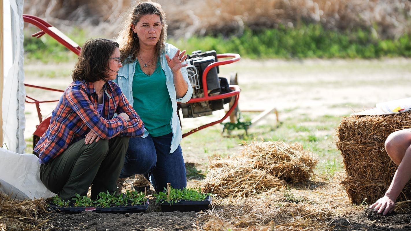 Two women discussing a plan for seedlings.