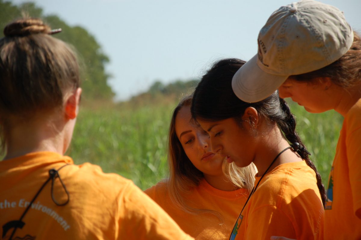Envirothon teams collaborated on test day
