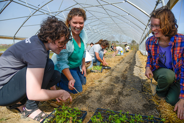 Michelle SChroeder-Moreno teaches agroecology at NC State