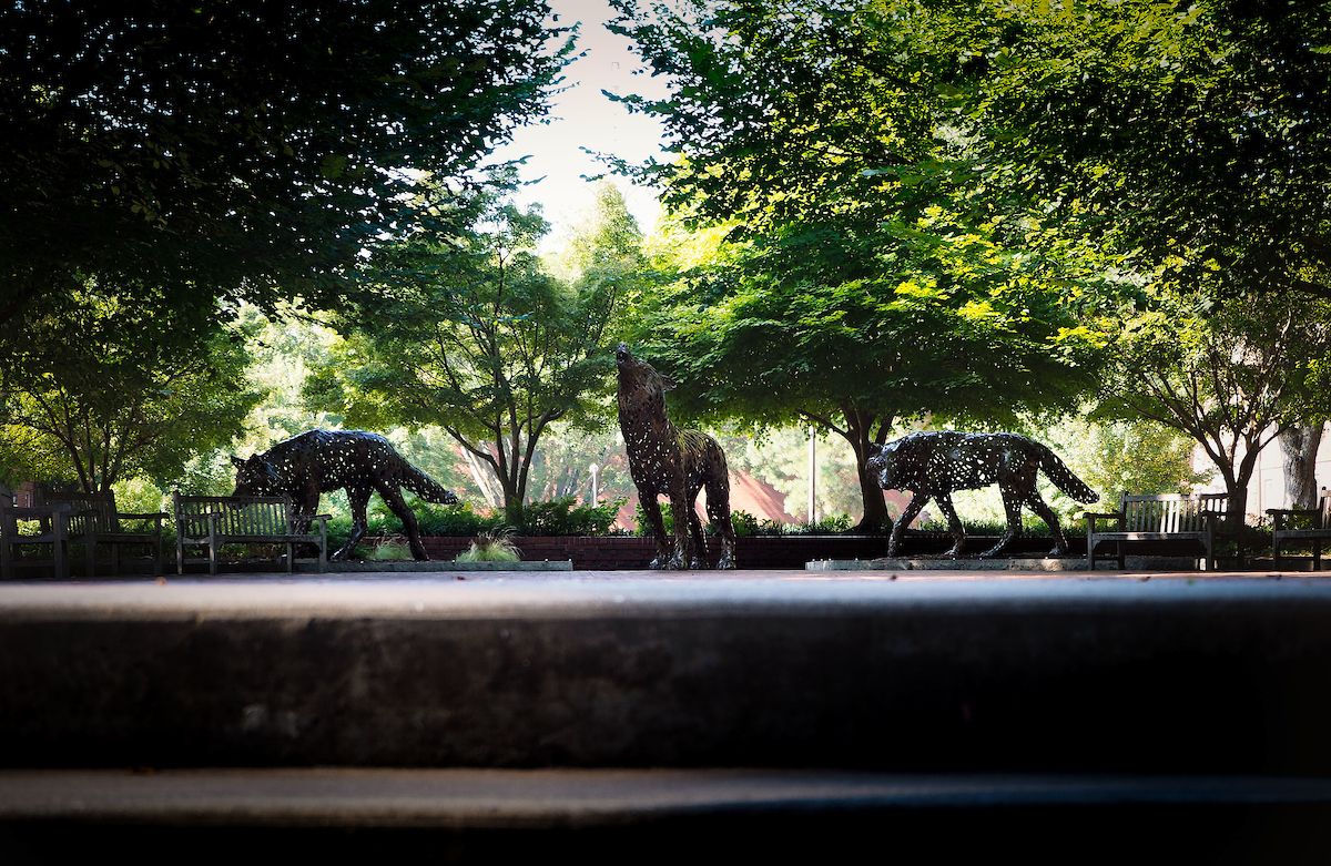 Wolf statues on NC State campus