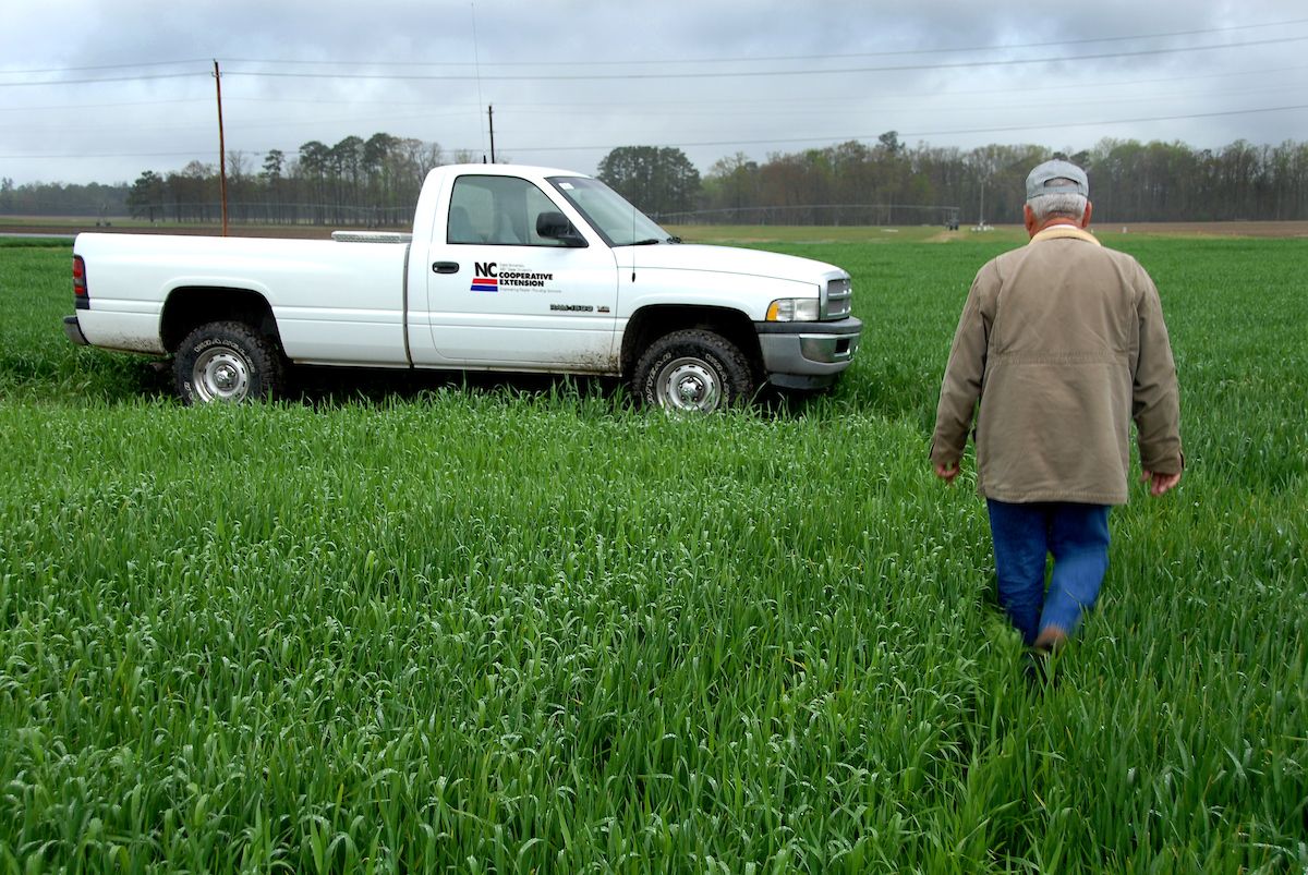 Man walking through wheat field to his truck