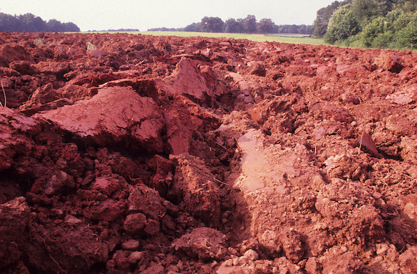 NC clay soil