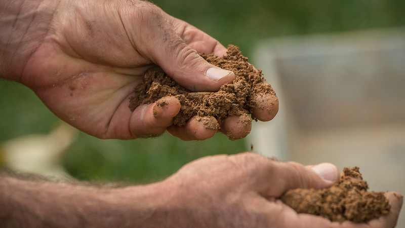 dirty hands holding soil