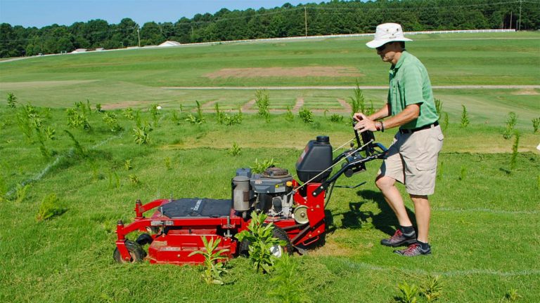 2020 | Crop and Soil Sciences | NC State University