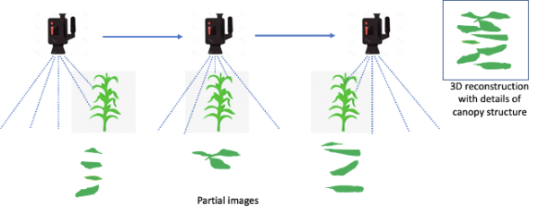 Alternative Weed Control – We’ll Have An App For That | Crop and Soil ...