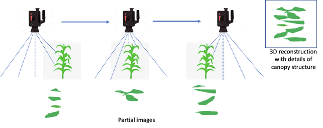 image classification diagram