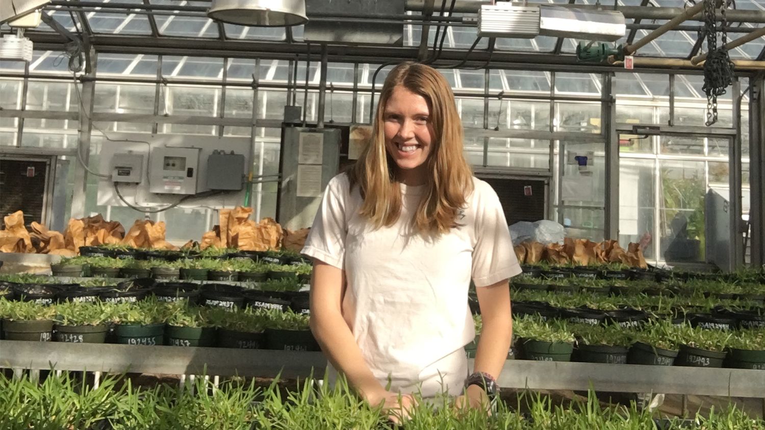 A female student stands in a greenhouse