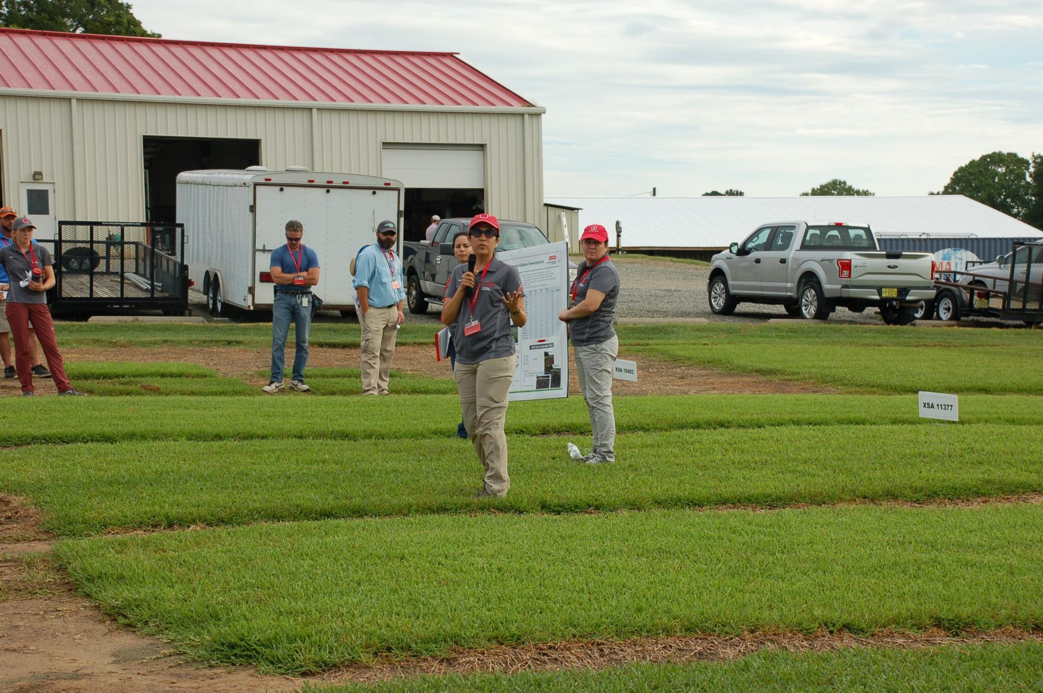 Researchers standing on turfgrass research plots