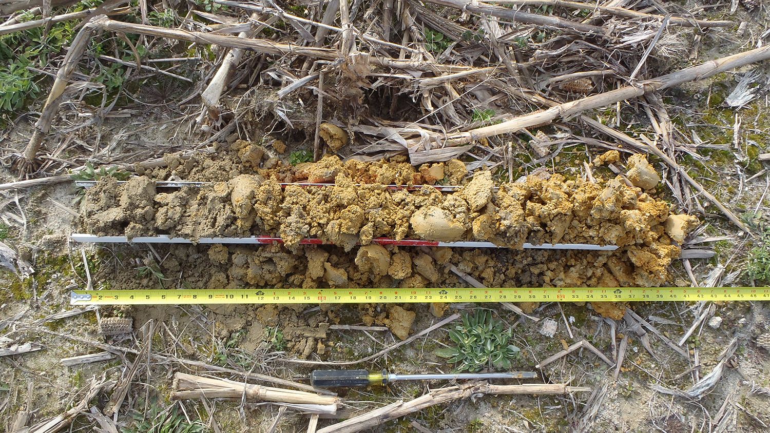 Helena B soil type sample lays on the ground