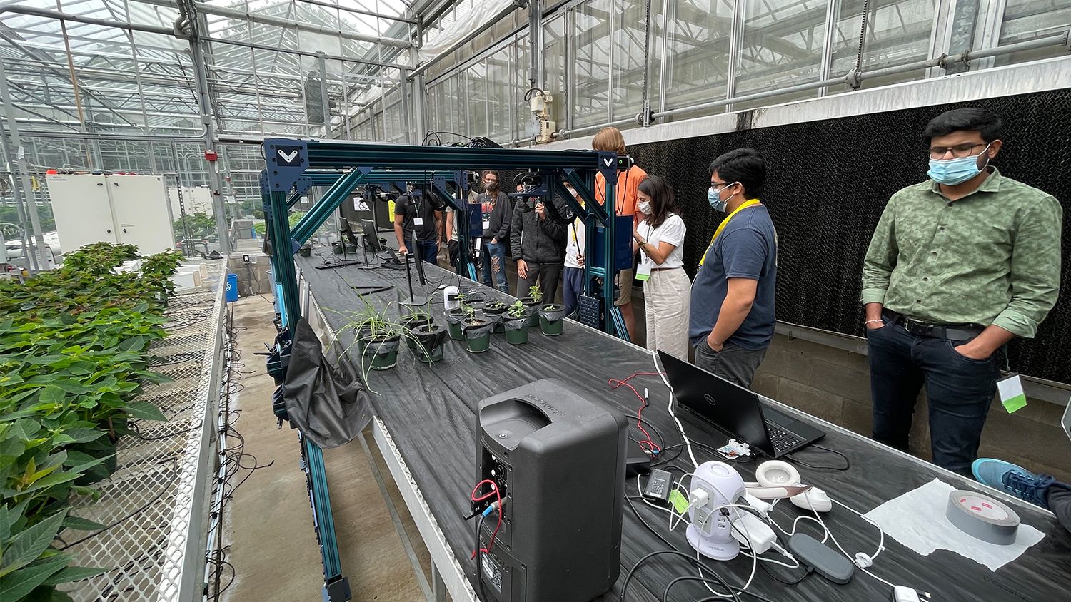 A group of students observe the BenchBot in a greenhouse