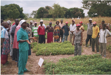 An African crop specialist talks to a group of local farmers