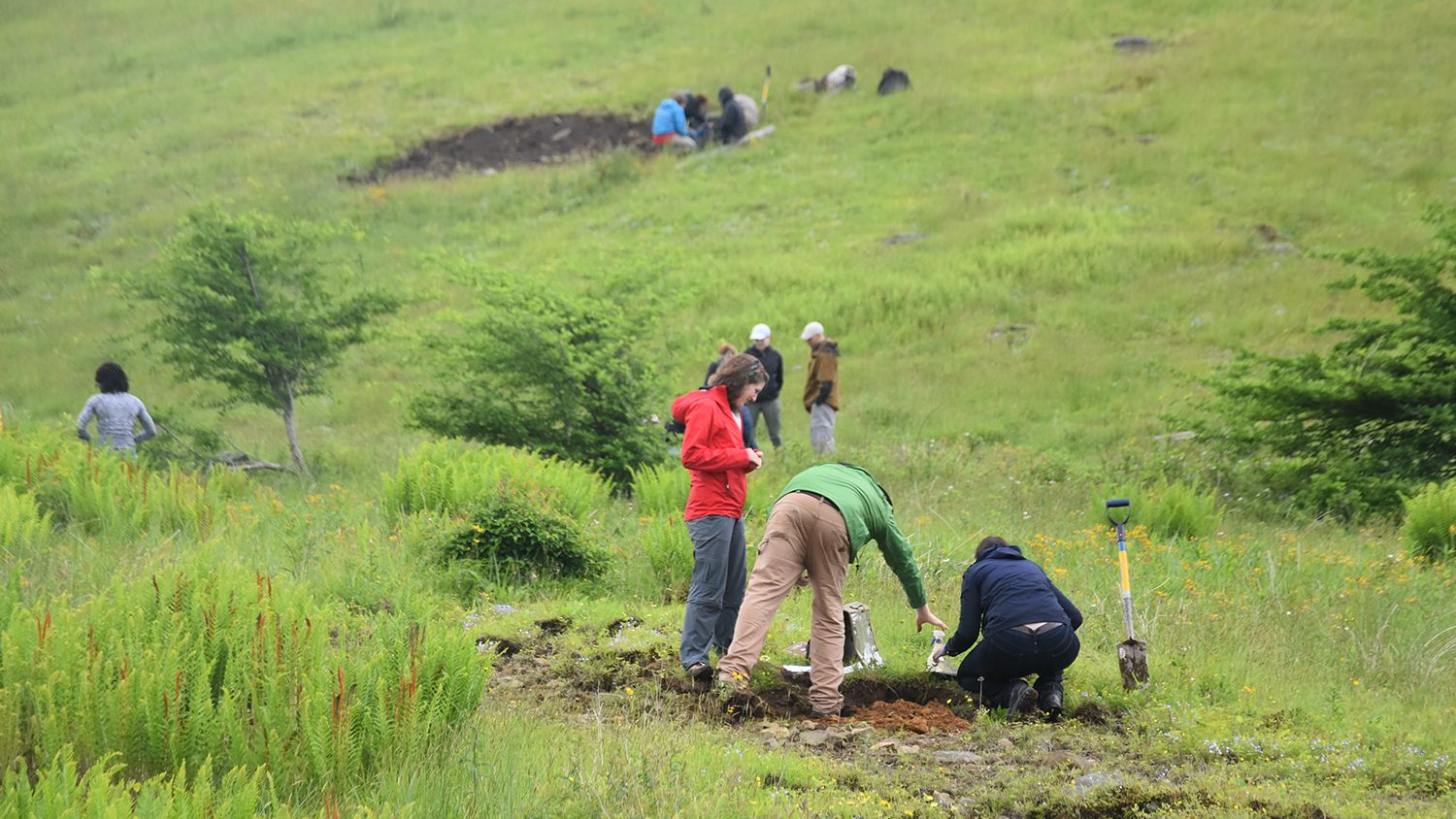 students dig in the soil at a field site.