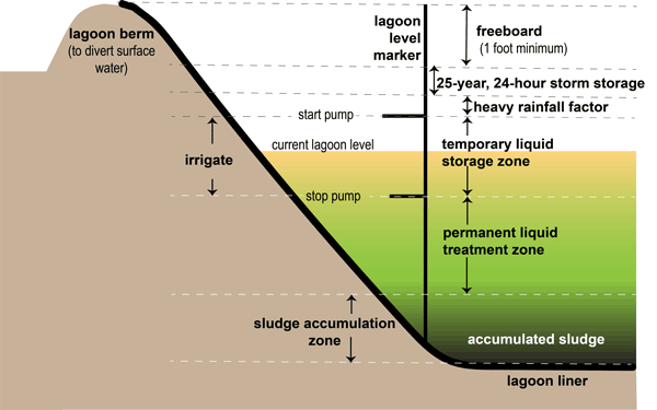Hog lagoon diagram