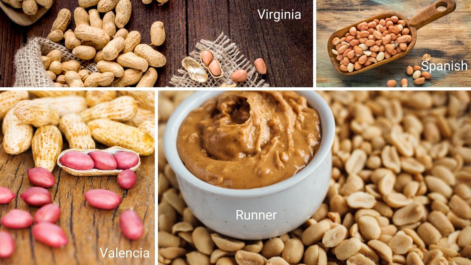 peanut variety comparison