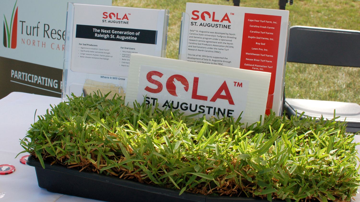 Close up of NC State's Sola St. Augustine display
