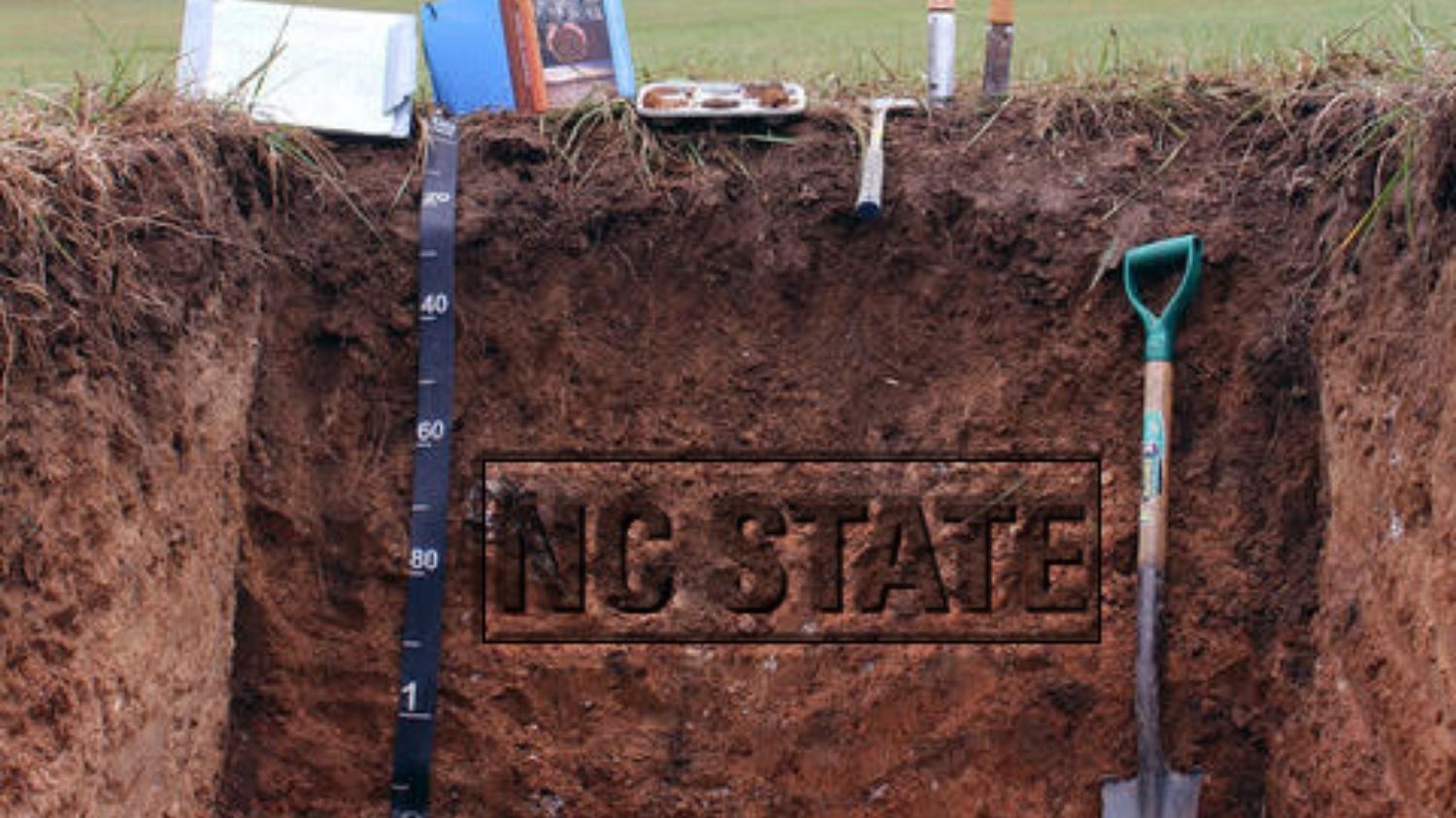NC State's logo in a soil pit