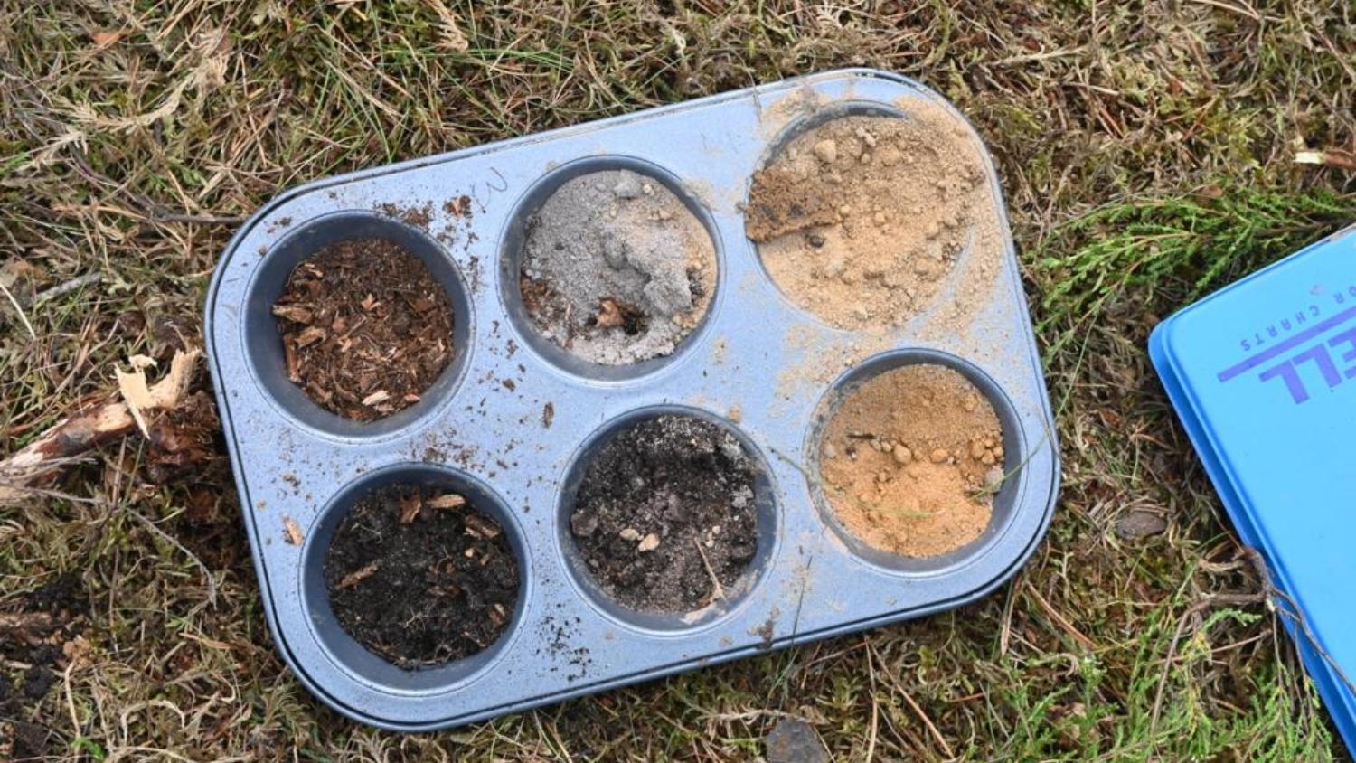 Soil samples from the World Soil Judging Contest in a pan