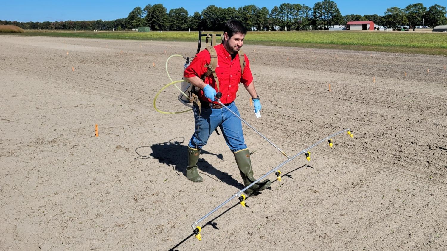 Jose de Sanctis sprays herbicide in a test plot