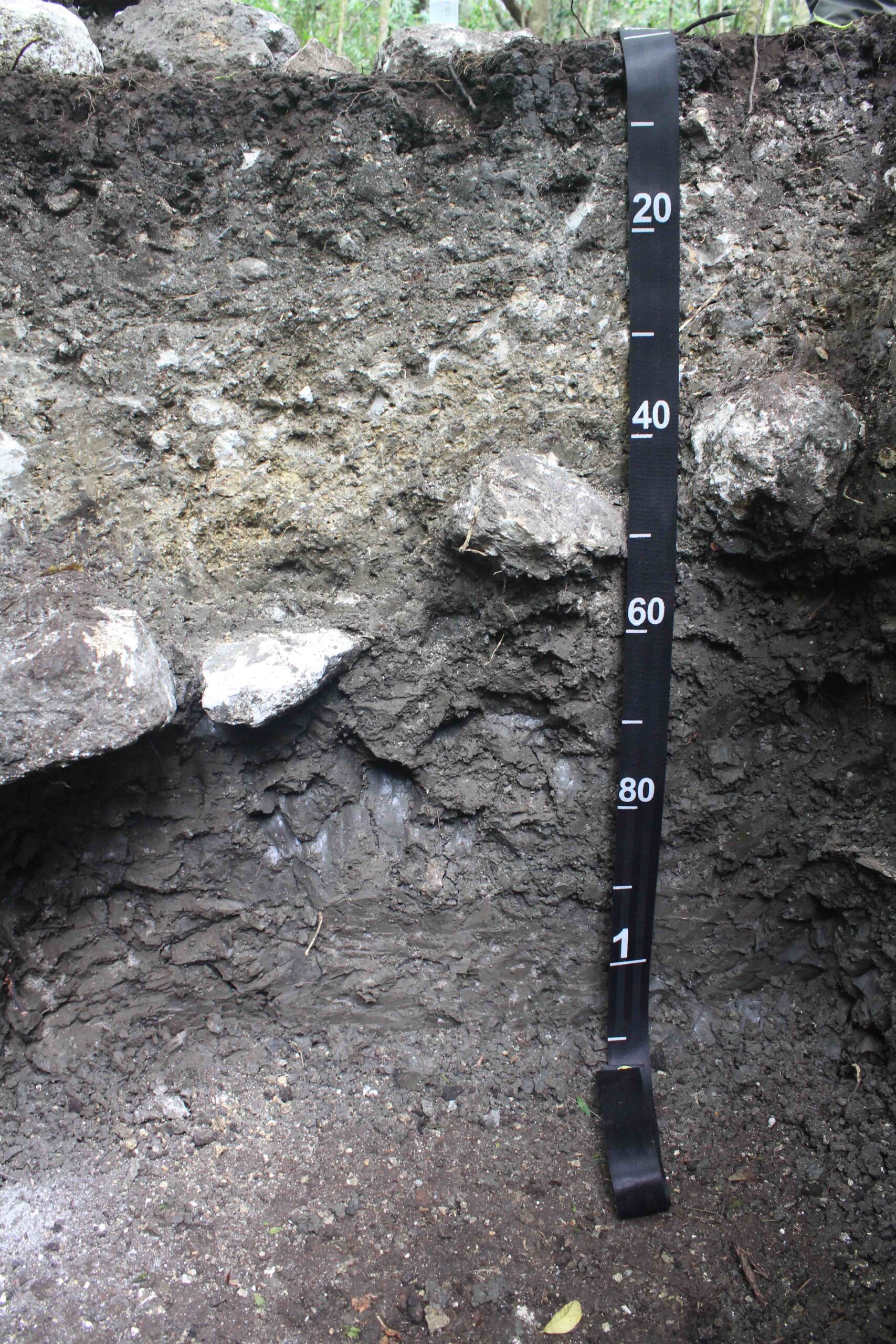 A cross-section view of soil layers at an El-Peru Waka reservoir.
