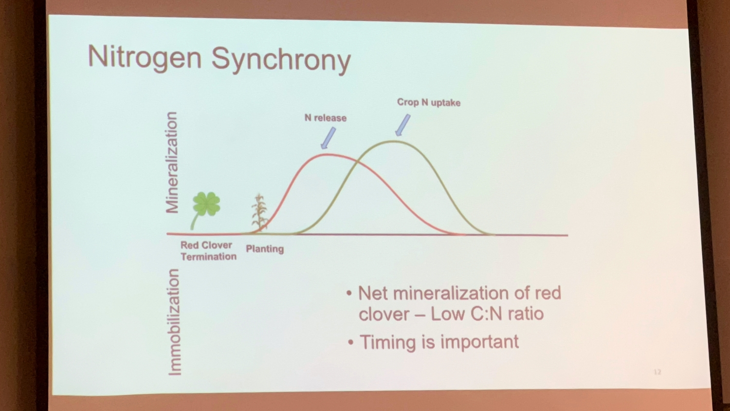 Nitrogen timing from cover crops presentation slide