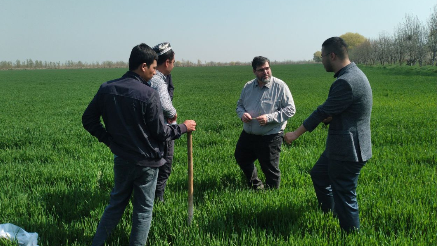 NC State's Luke Gatiboni meets with Uzbek farmers in field to discuss soil fertility.