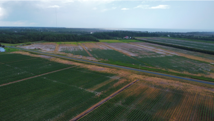 Aerial view of a NC coastal farm impacted by saltwater intrusion