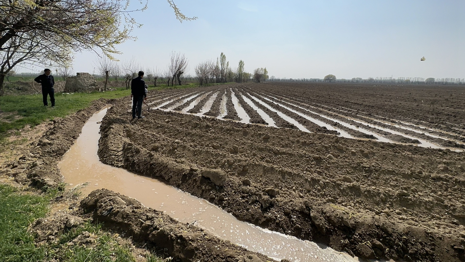 Irrigation ditches and canals route water to Uzbek fields.