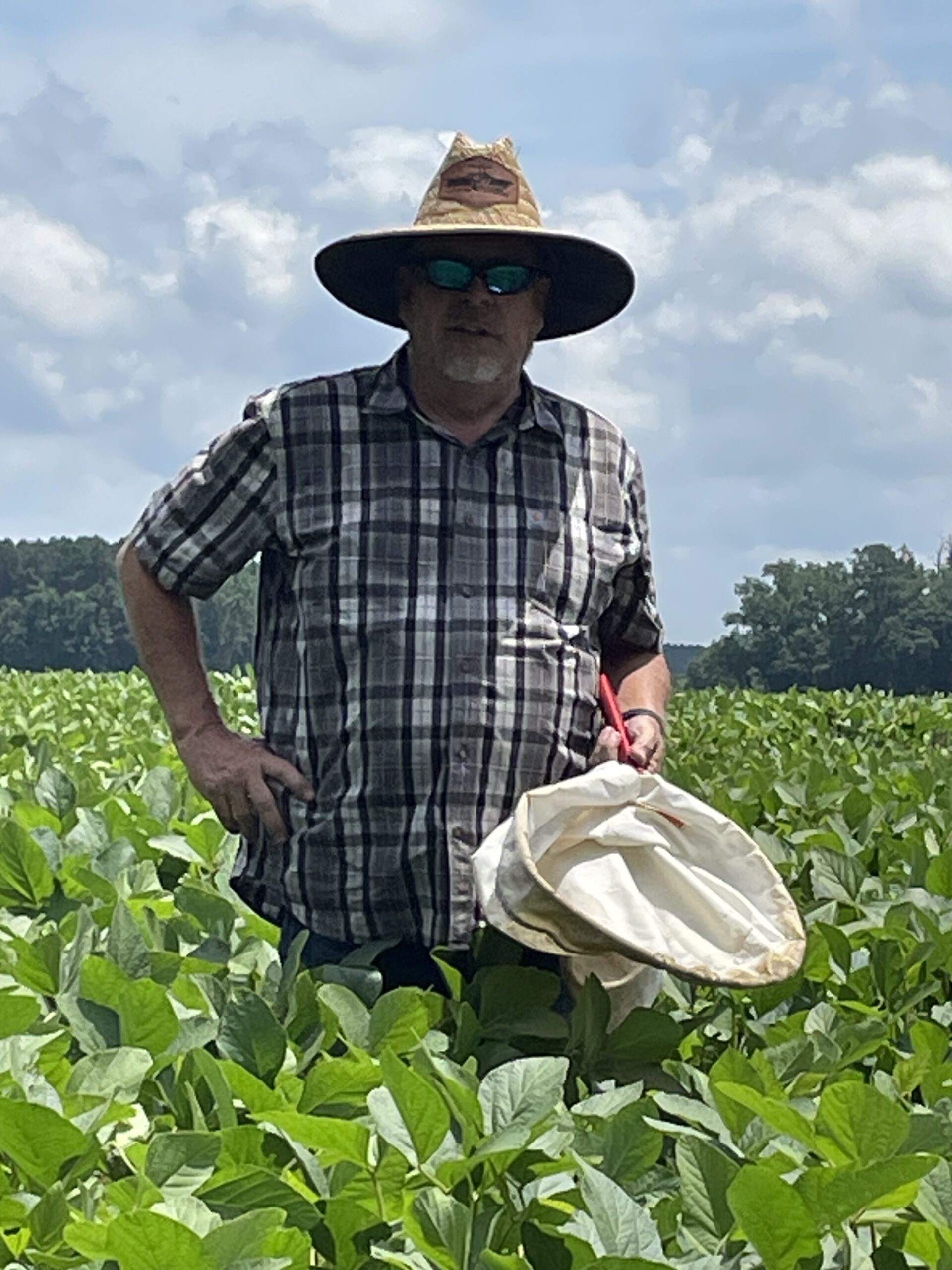 Crop consultant Al Averitt scouting a soybean field