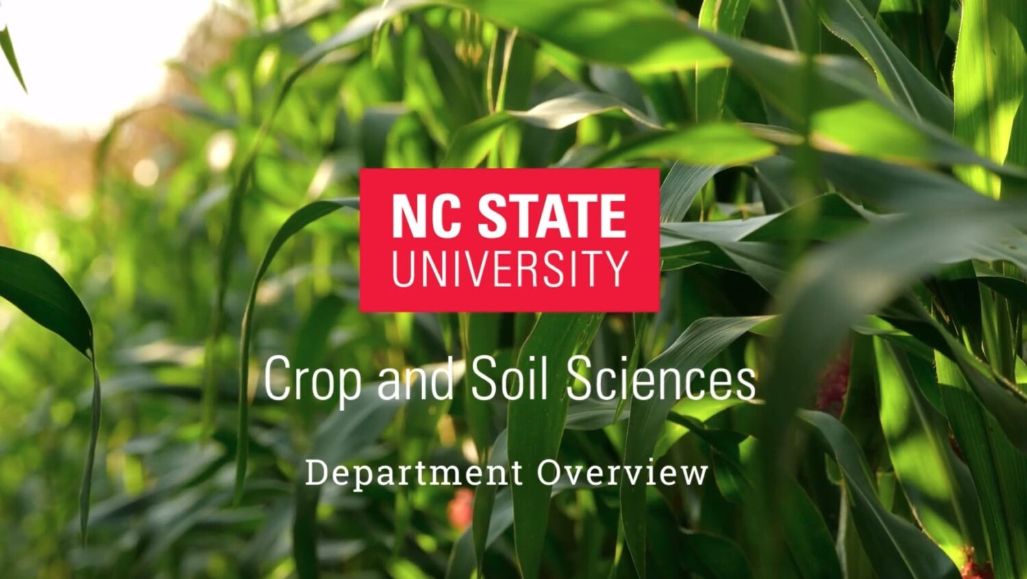 NC State Department of Crop and Soil Sciences video cover