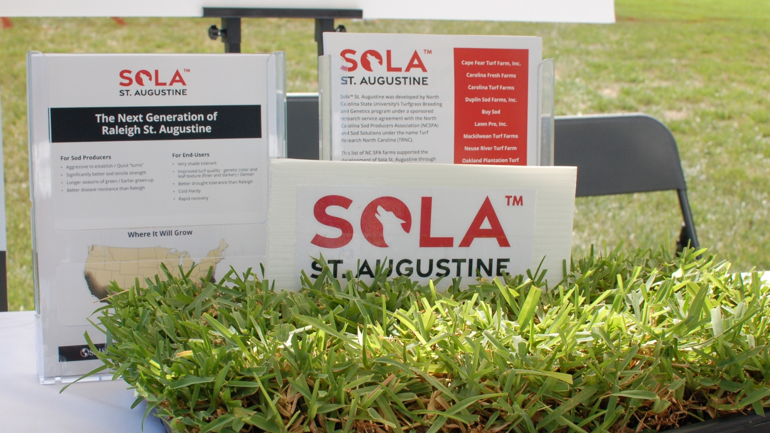 Sola St. Augustinegrass was a new release in 2022 from the NC State Turfgrass Breeding Program.