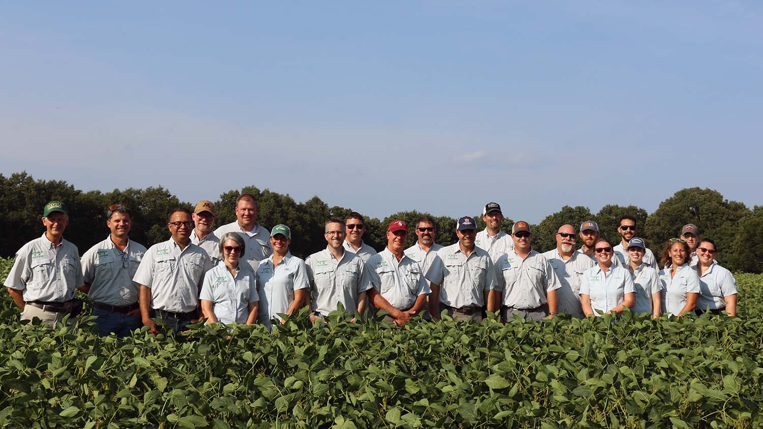National Extension Specialists Collaborate to Help Soybean Farmers