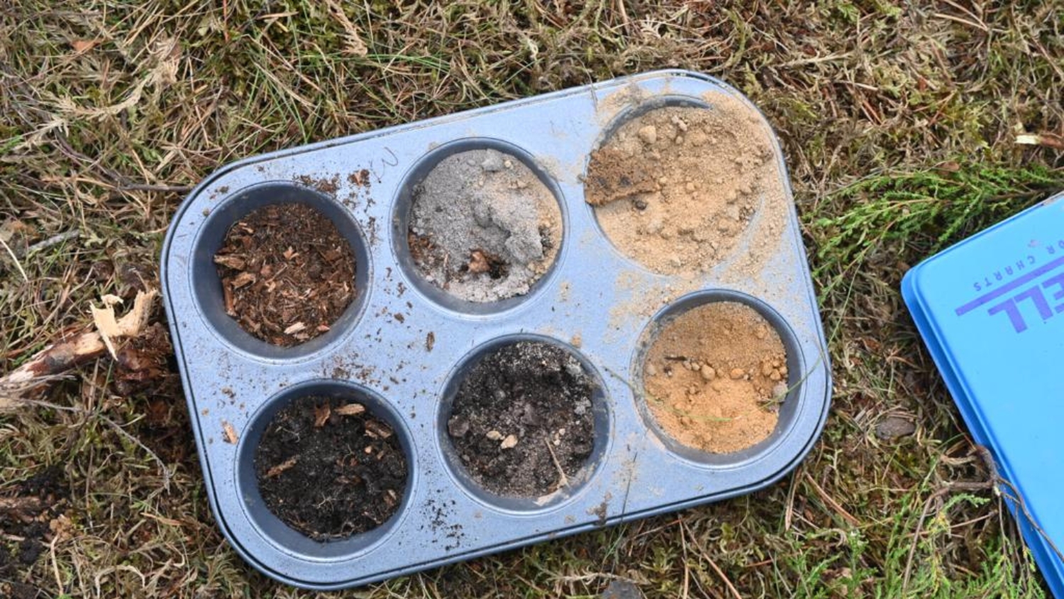 Soil samples from an NC State soil judging event