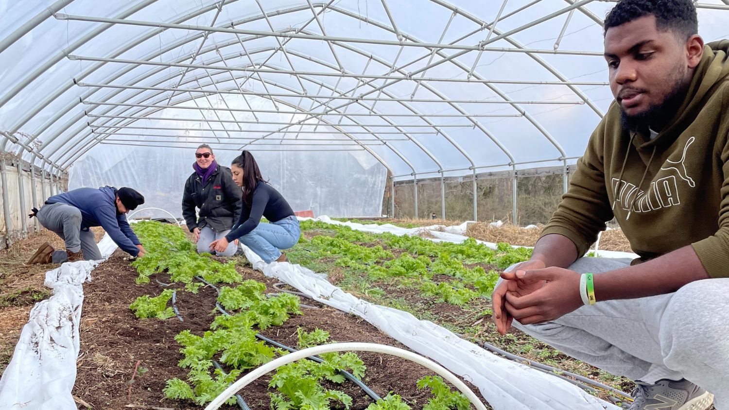 NC State's Jaleel Hewitt works in a high tunnel at the NC State agroecology education farm.