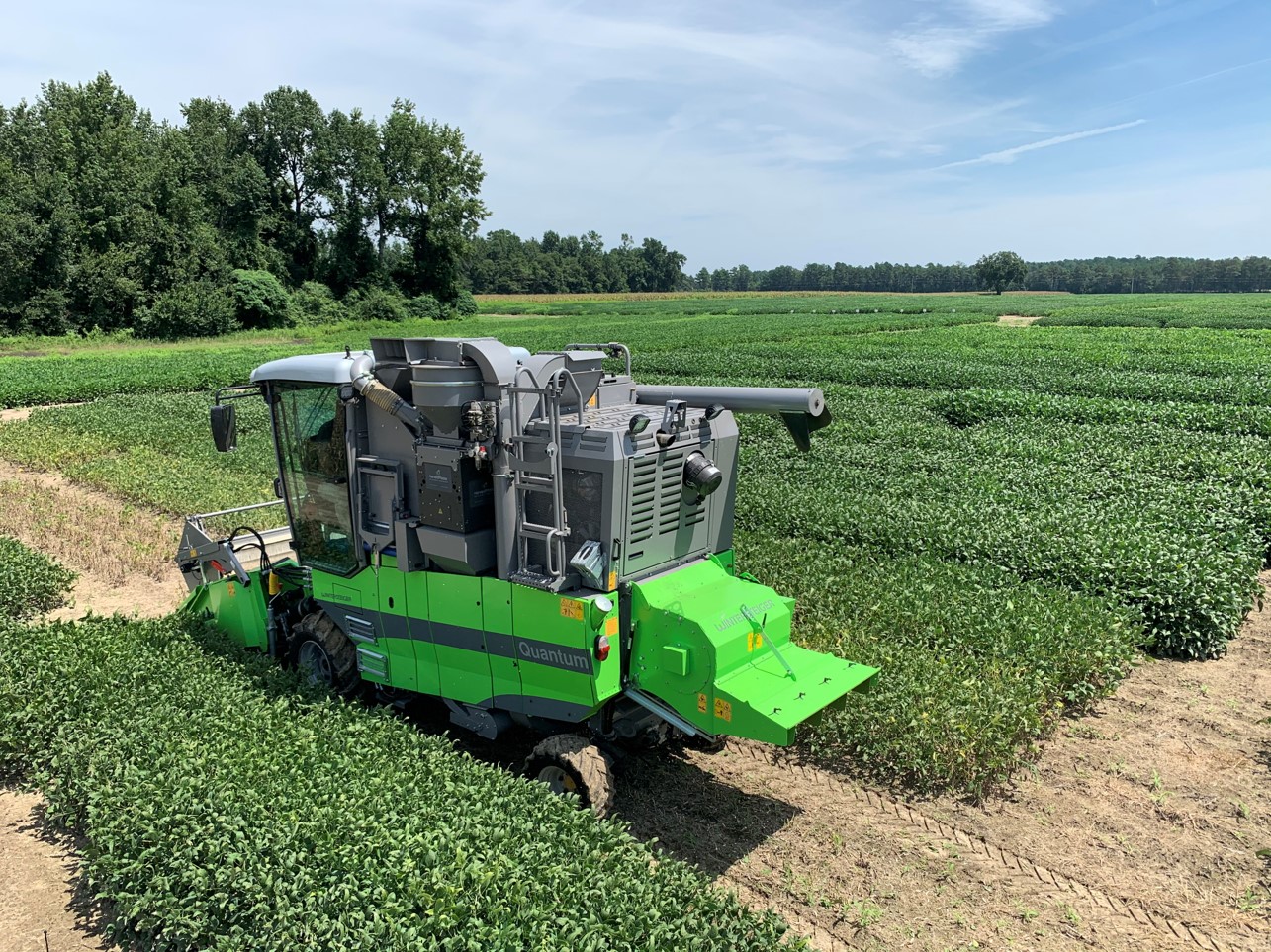 NC State soybean field research plots