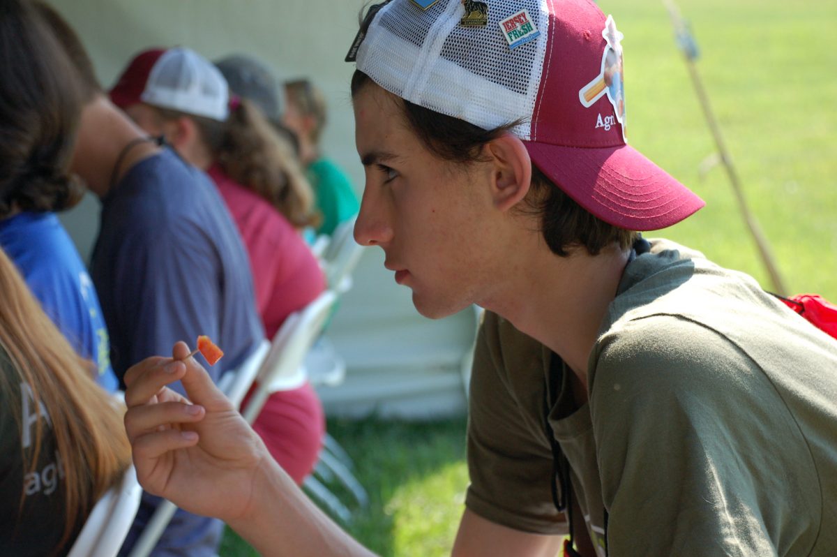Envirothon teams sampled NC State-grown tomatoes