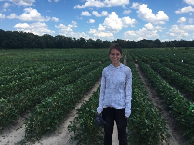 NC State REU Students Used Field Labs for Research
