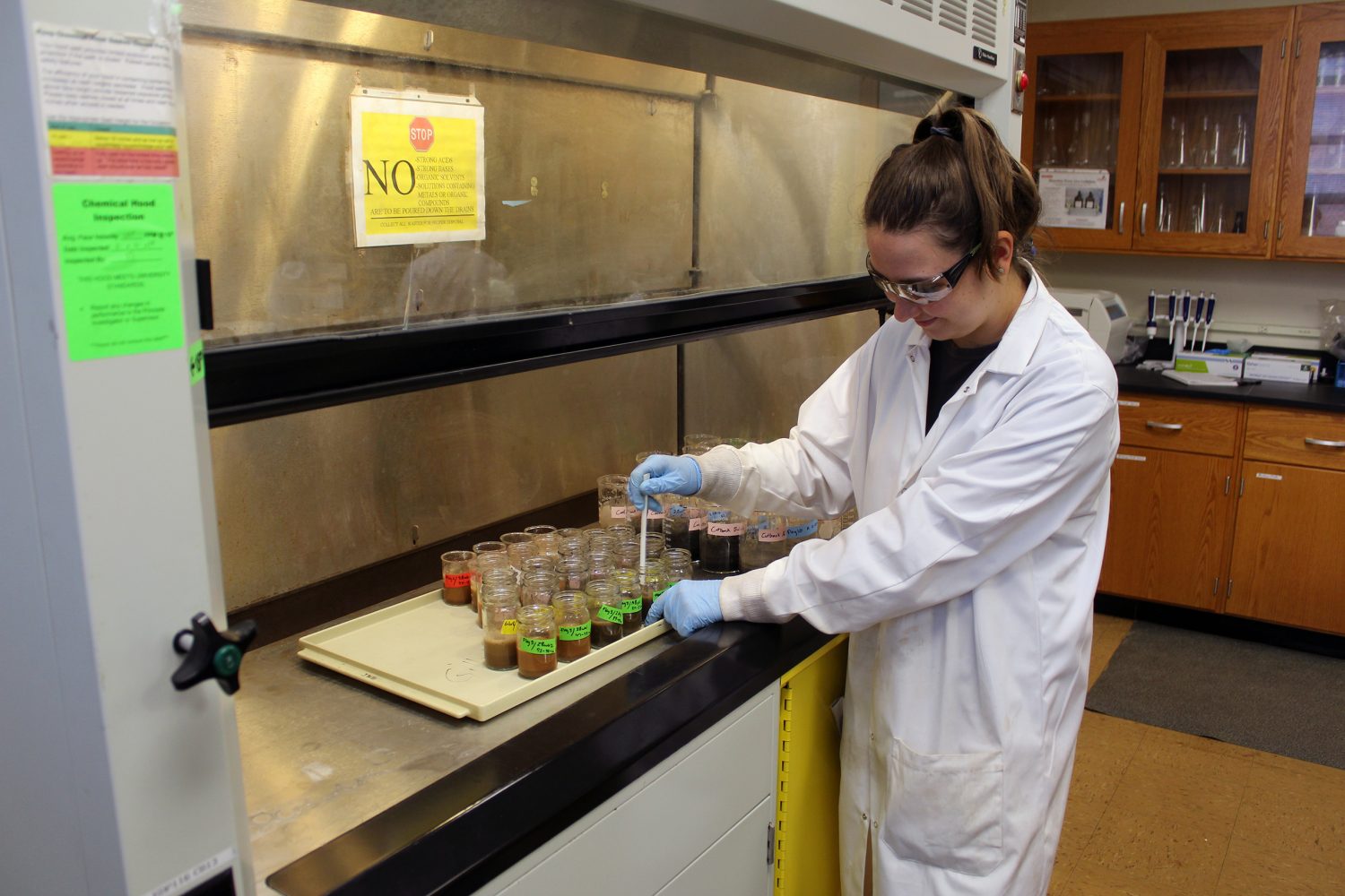 NC State REU Student Sophie Maffie evaluates coal deposits in floodplain soils for future mapping