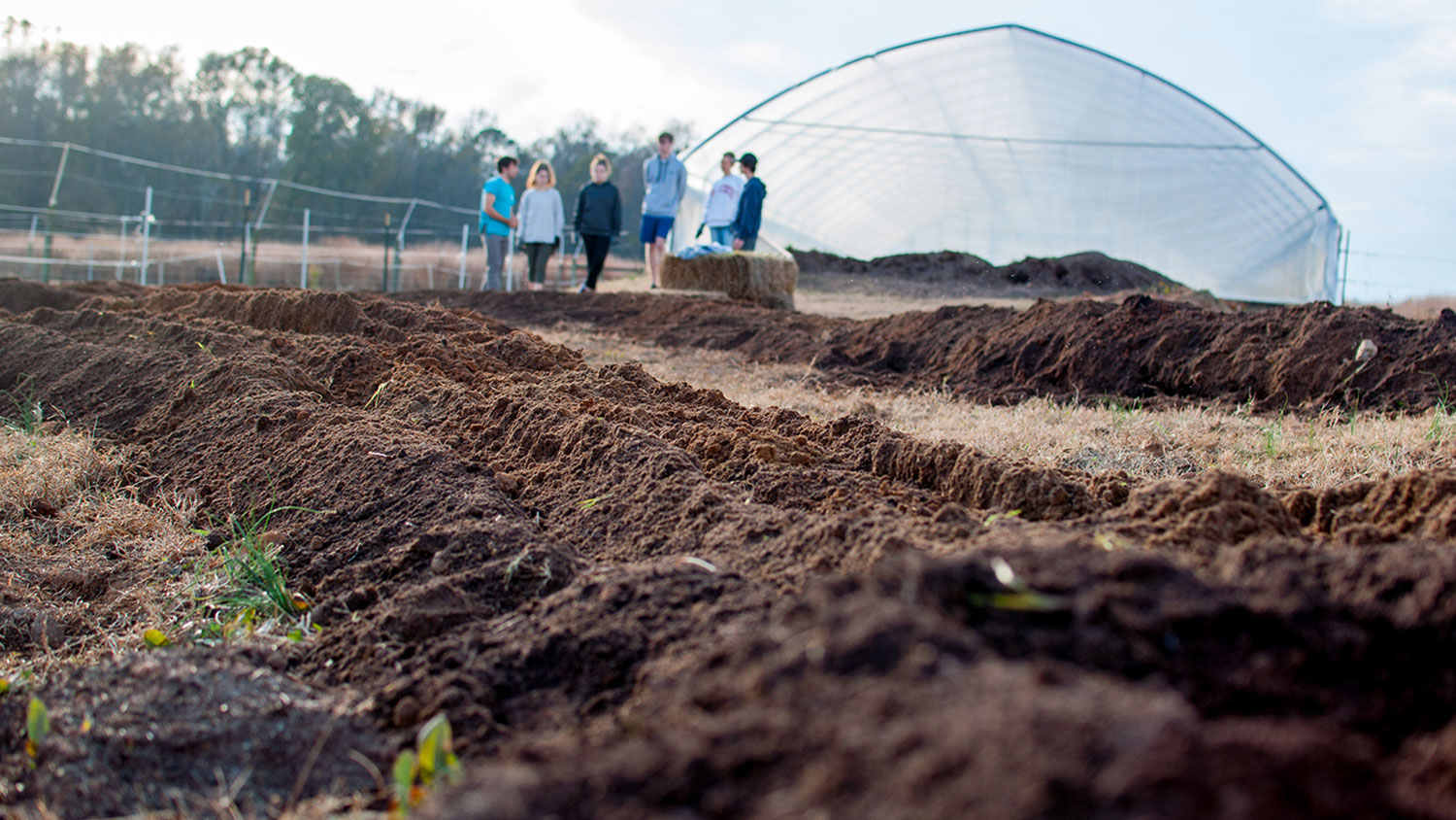 Long shot of a farm with students and greenhouse in the background