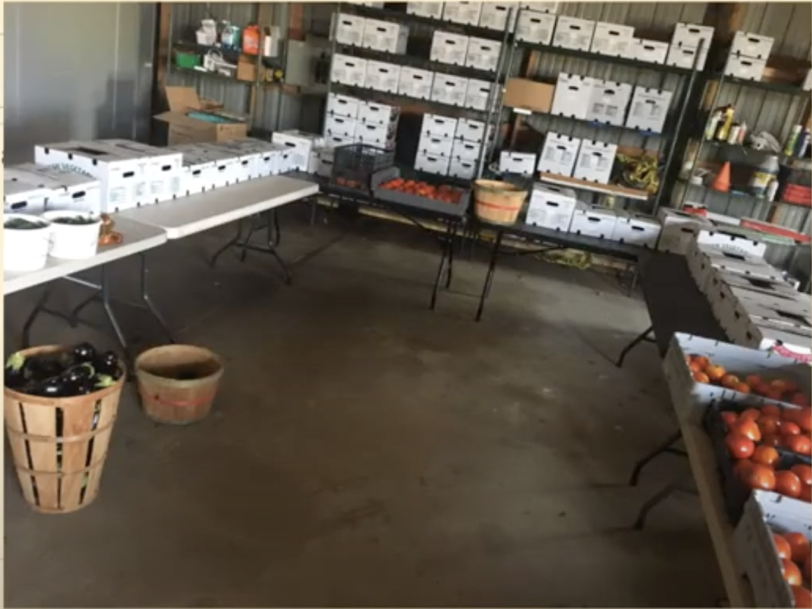 A room with tables of vegetable boxes