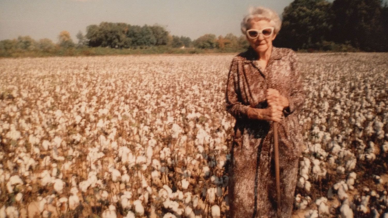 Older white woman standing in a cotton field